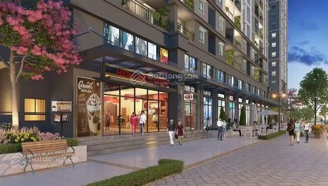 Shophouse Vung Tau Centre Point, 52 triệu / m2, 207 m2, 3PN, 3WC - Mu a trực tiếp hàng CĐT