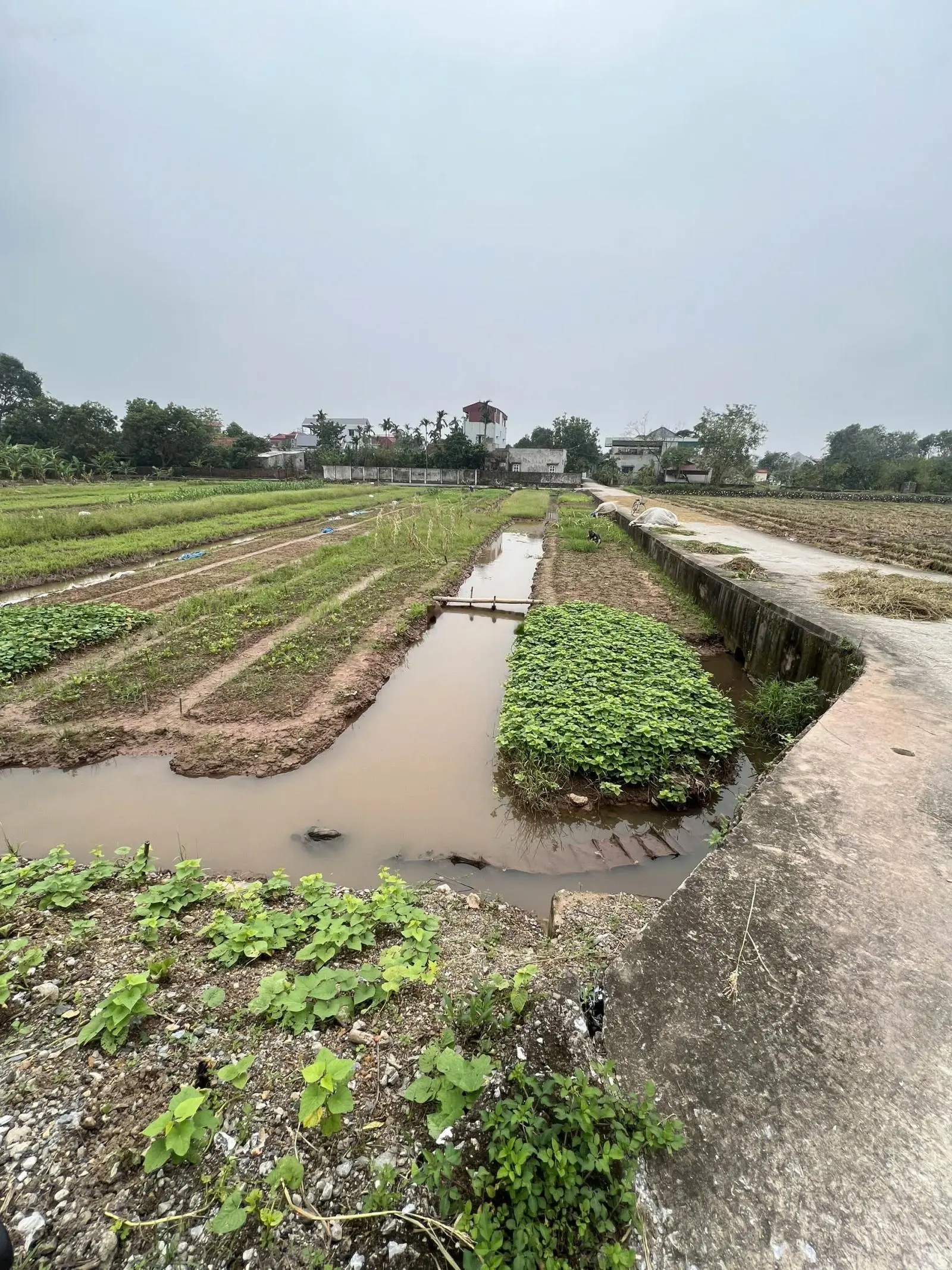 Chính chủ cần bán đất thôn Phú Đức, Xã Phú Nam An, Huyện Chương Mỹ, Hà Nội