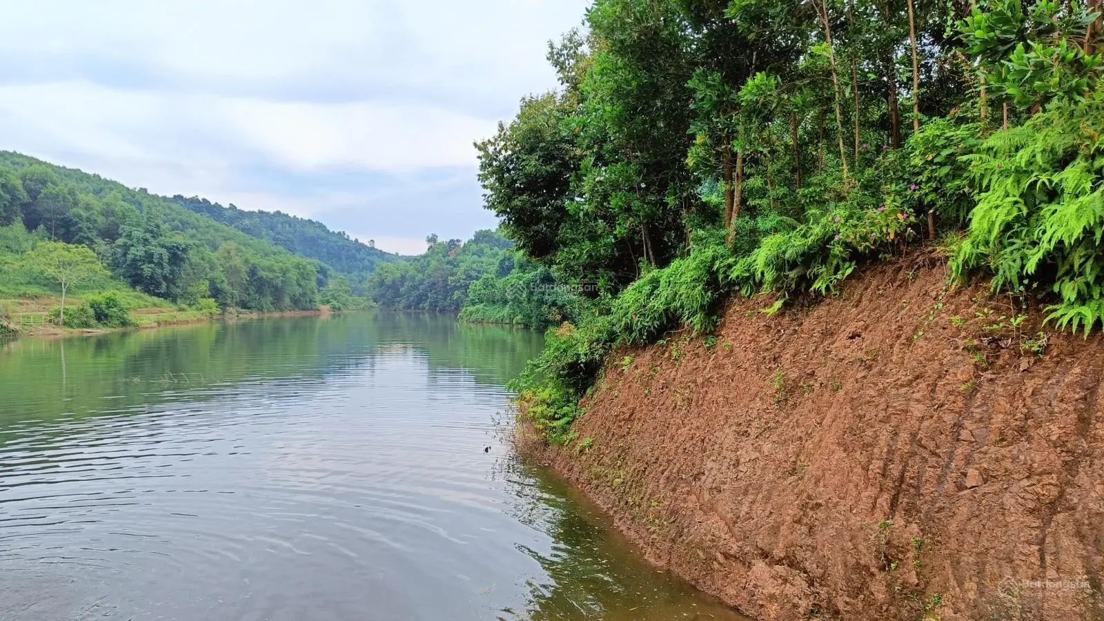 Bán trang trại 8000m2 có 1000m2 thổ cư, bám hồ 100m, ô tô 45 chỗ