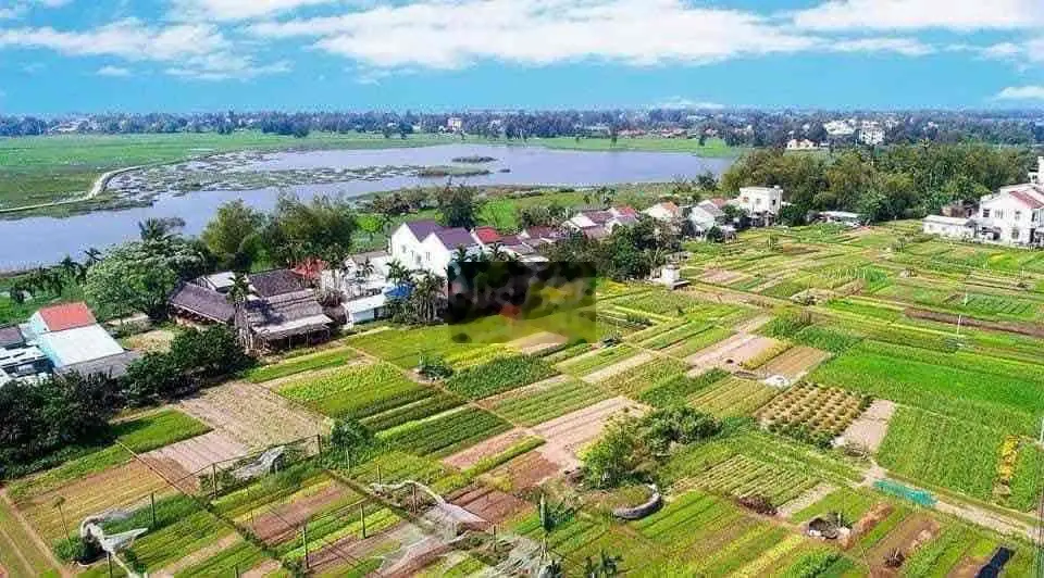 Chính chủ cần bán nhanh lô đất view lúa Lý Thái Tổ