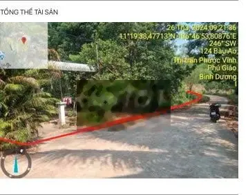 Bán đấu giá TS: TĐ:376, TBĐ:25, KP.4, Phước Vĩnh, Phú Giáo, Bình Dương