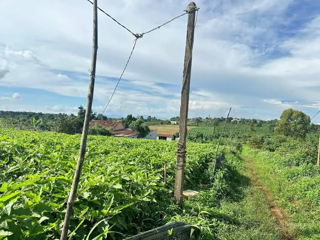 Đất thổ cư nhà vườn nghỉ dưỡng gần đường tránh mới Đồng Xanh, Đắc Đoa