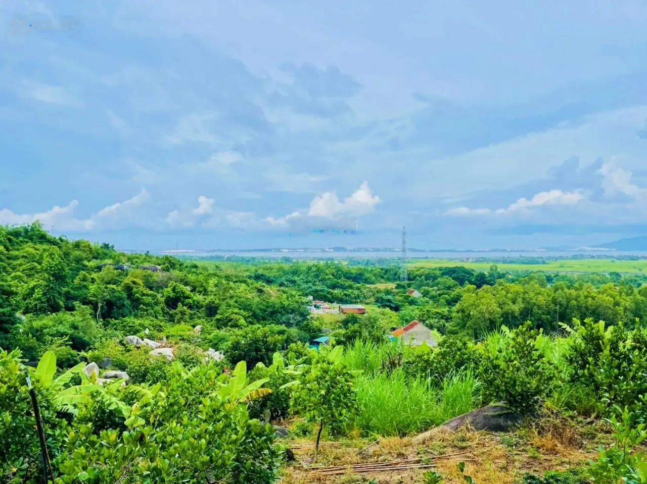 2ha view Biển Vân Phong tuyệt đỉnh - 1,9 tỷ