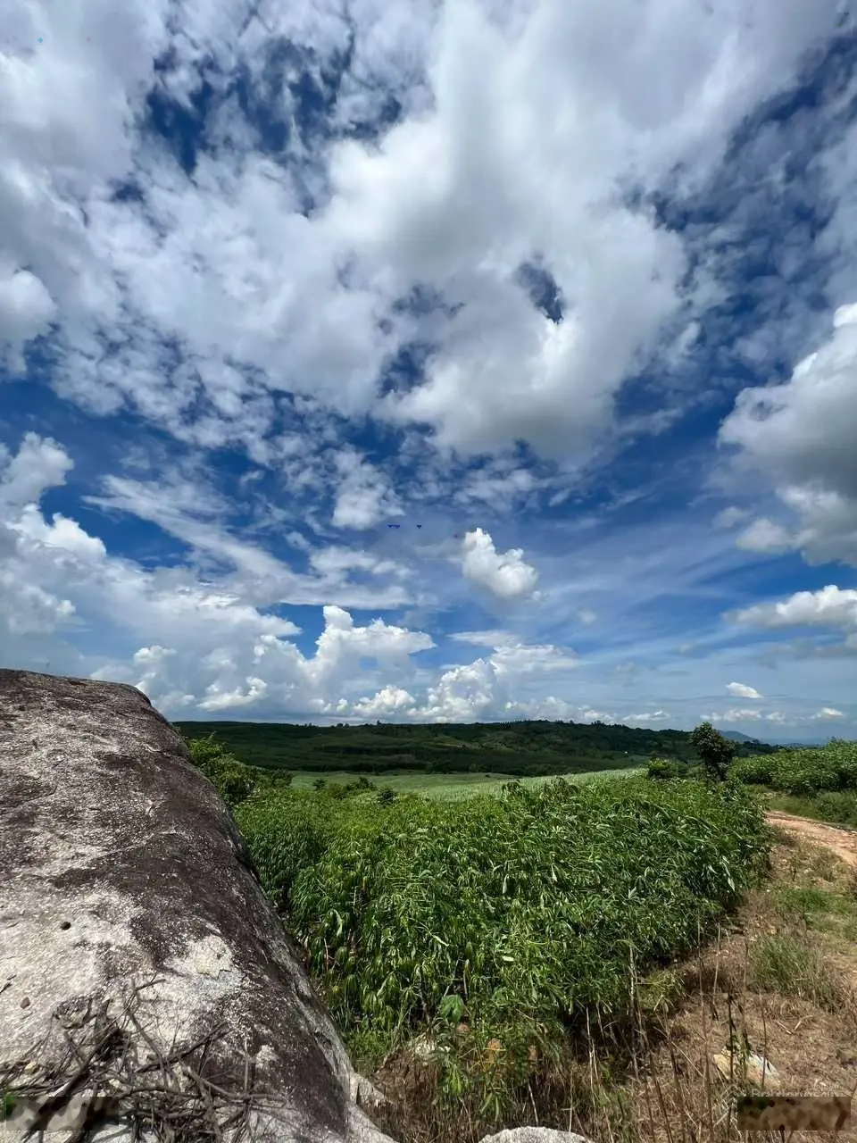 6 ha đất CLN trồng keo ở Buôn Chao Xã Ea Bá Sông Hinh Phú Yên giá rẻ thích hợp mua đầu tư lâu dài