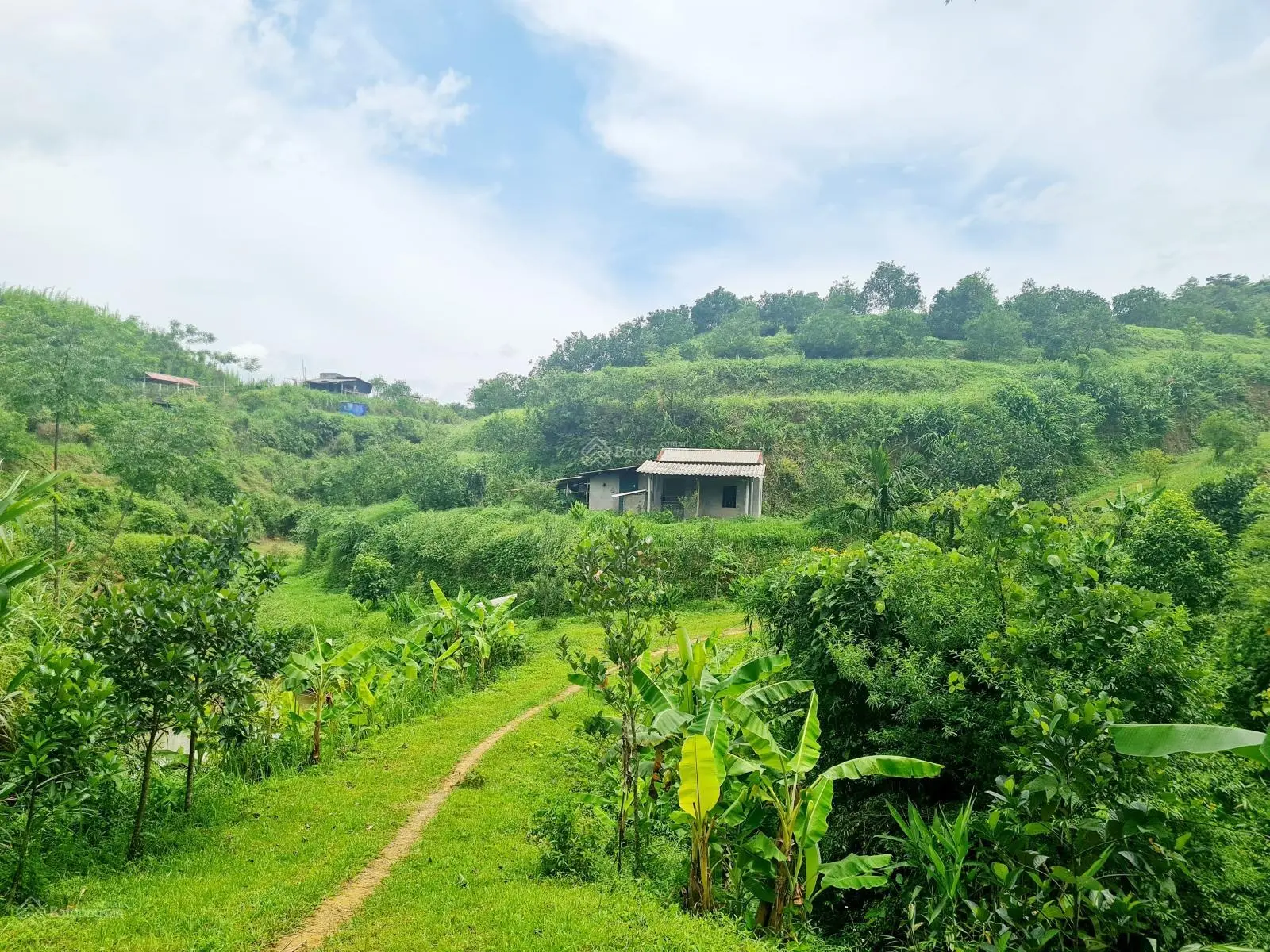 Bán trang trại vườn cây tại Cao Phong diện tích 1,8hecta