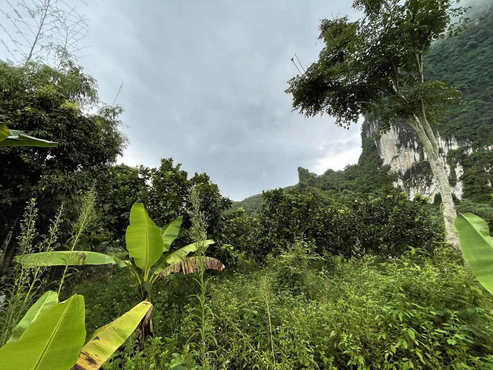 Bán gấp lô đất view núi cực đẹp tại Lương Sơn, Hoà Bình