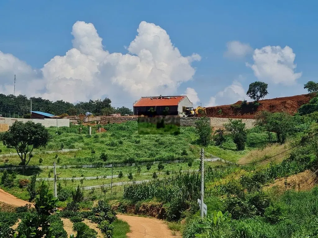 Đất đẹp ở khu nghỉ dưỡng cách Chợ Đà Lạt 25km view đồi hoa cực Chill