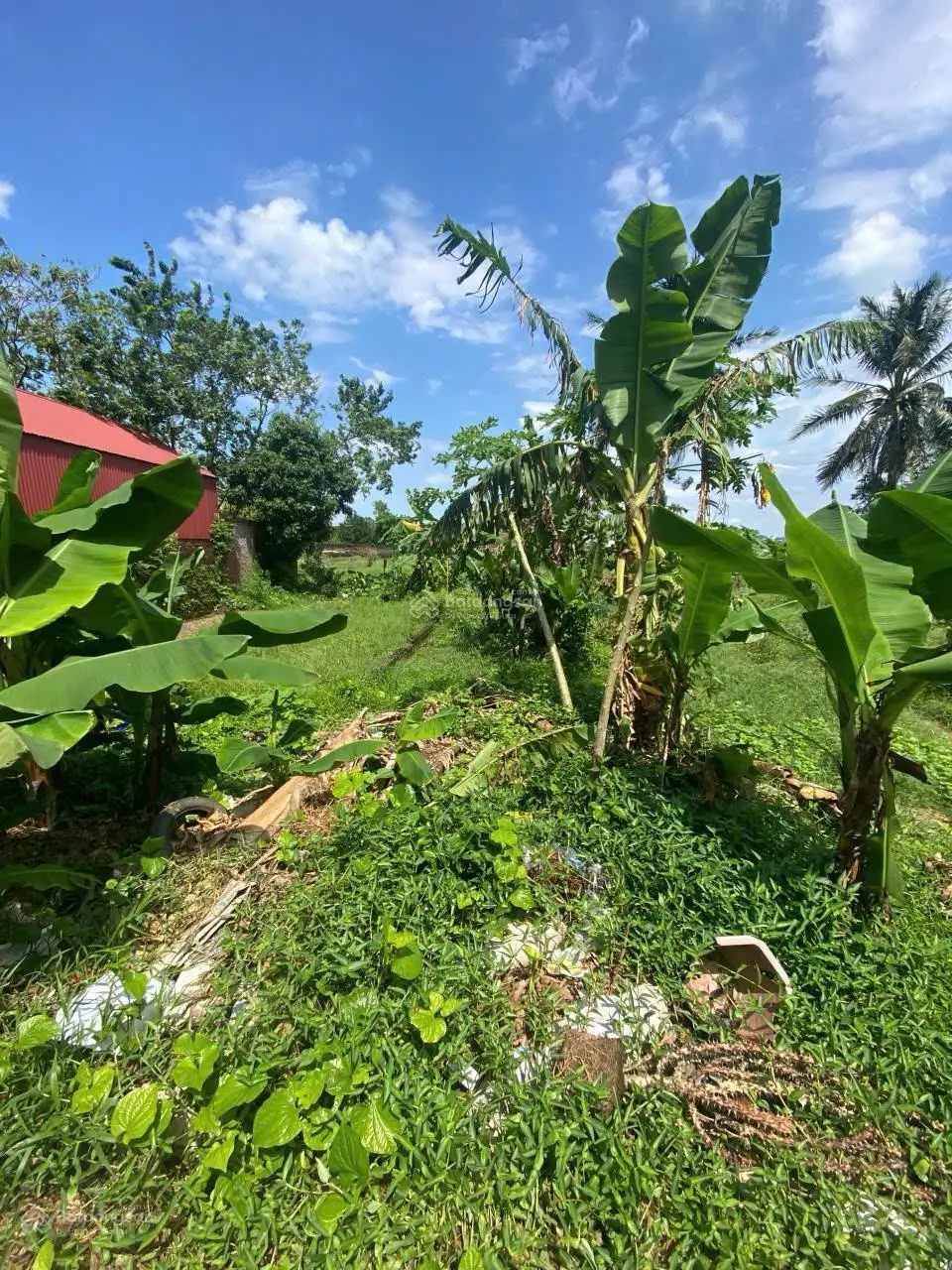 Bán đất Xã Thanh Cao, Thanh Oai, Hà Nội