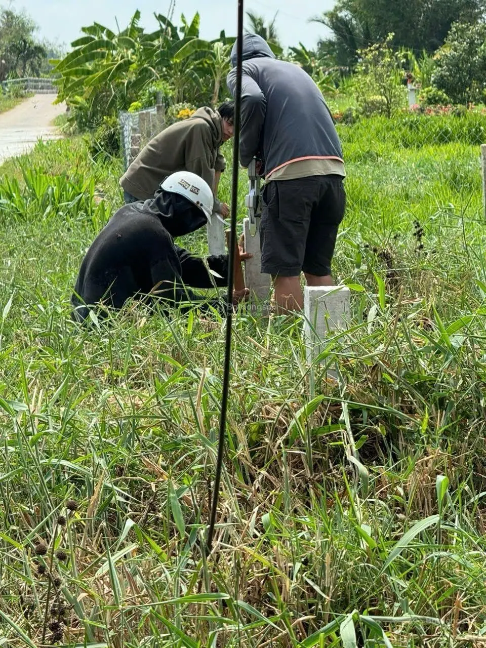 Bán đất sổ hồng chính chủ tại Tân An