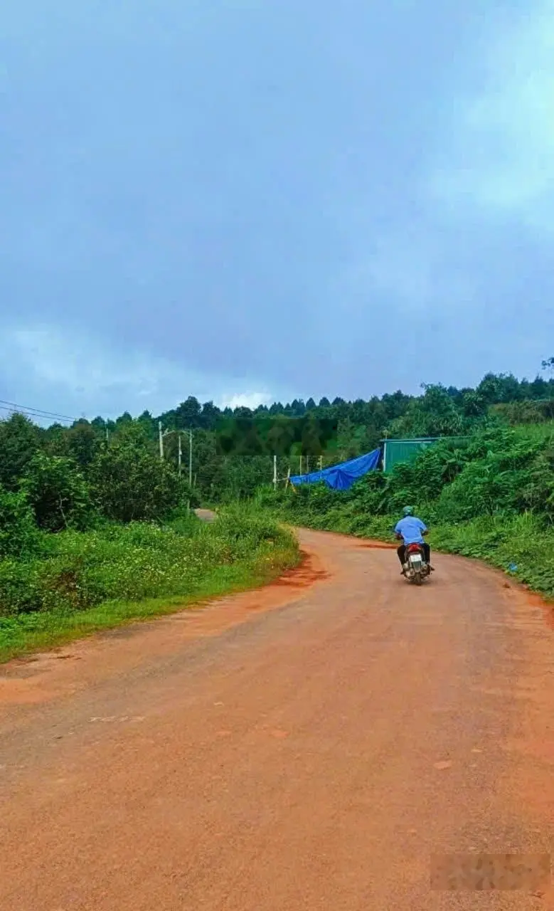 Mặt tiền Nguyễn Du, Sơn Hiệp Khánh Sơn