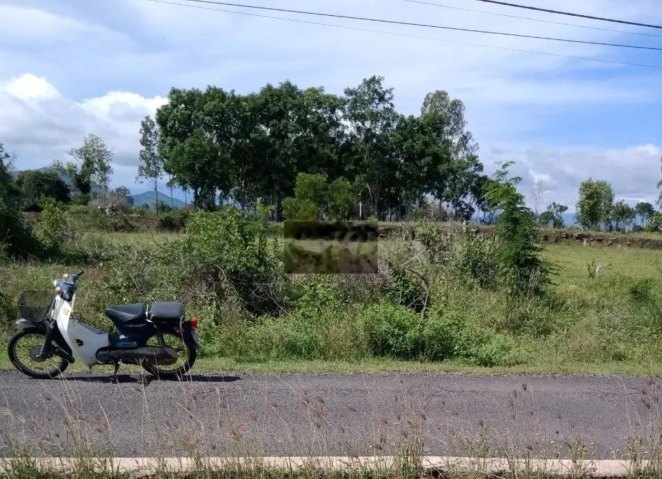 Cần bán gấp