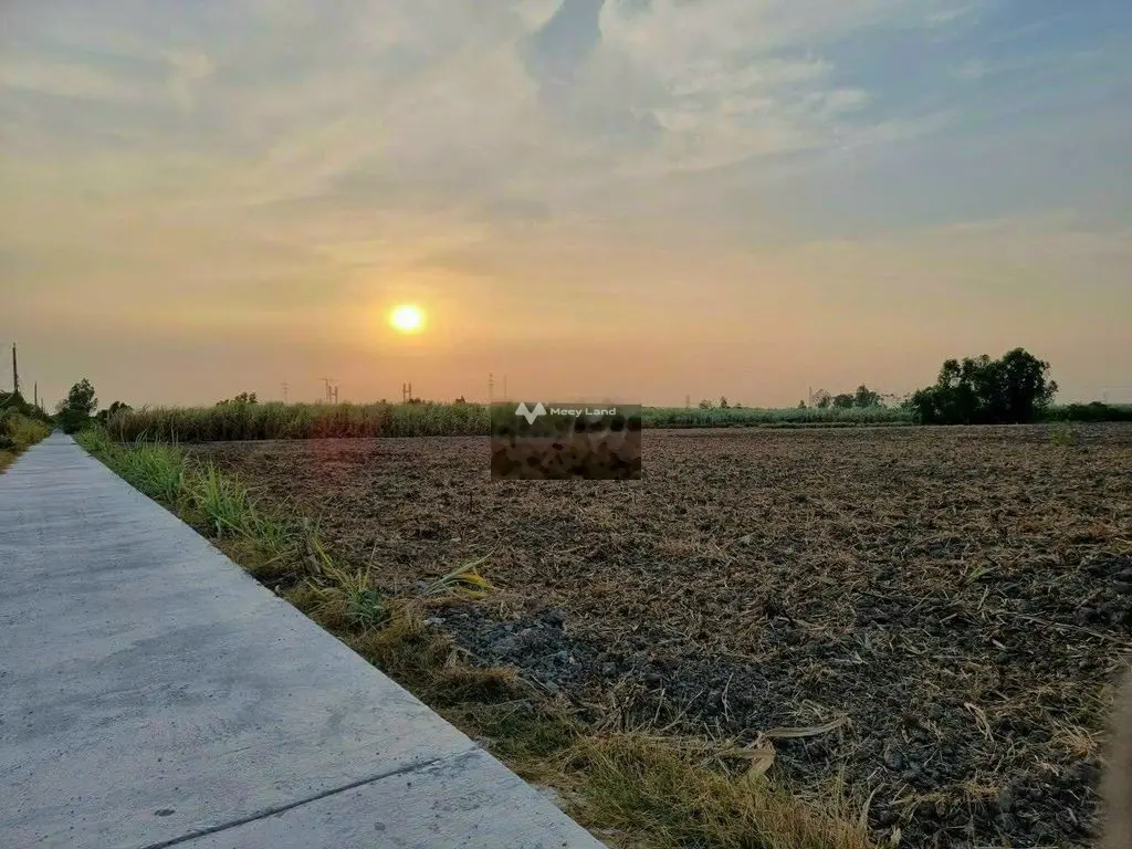 1000m2 đ.betong 4m view sông lớn nằm trong khu dân cư giá chỉ 2.4 tỷ