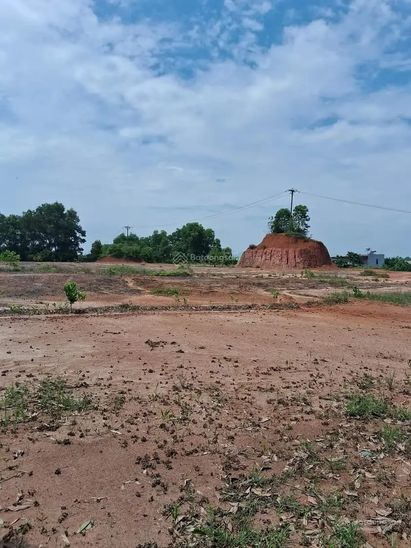 Bán 2,6 ha Đồi Giang Xã Thanh Mỹ, Sơn Tây, Hà Nội