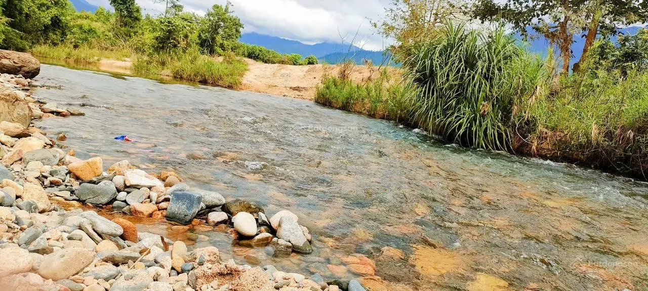 5,6ha mini Farmstay - suối Khánh Thượng, bê tông ô tô vi vu