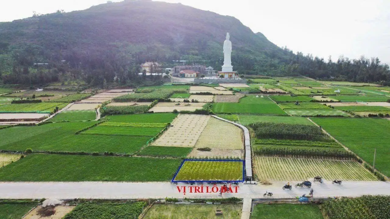 Quang Vinh chào bán các lô đất ngay vòng xoay lớn nhất đảo. Lô 125m-183m-195m2 mặt tiền đường nhựa