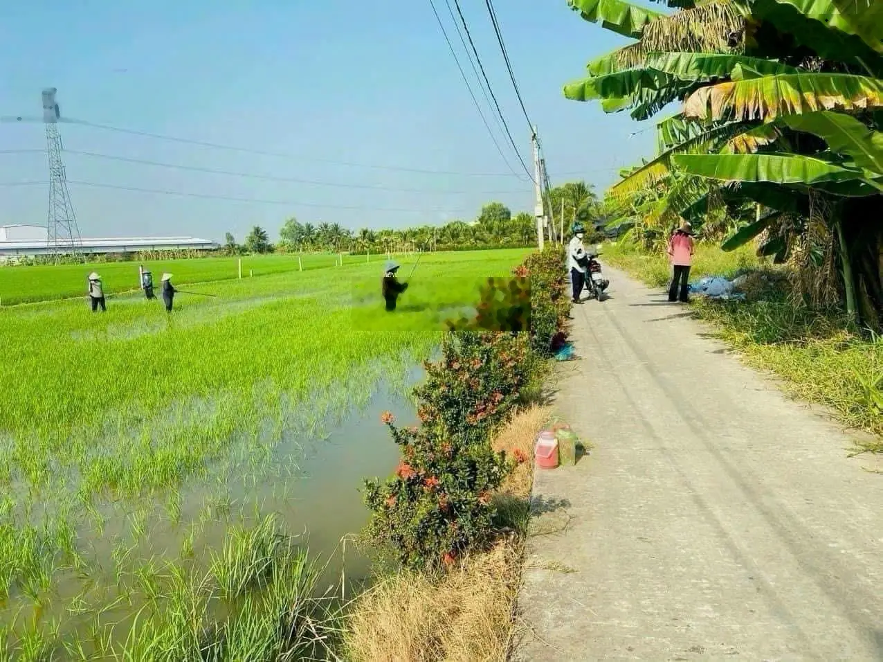 Đất thổ Bình Lãng, giá rẻ thích hợp đầu tư