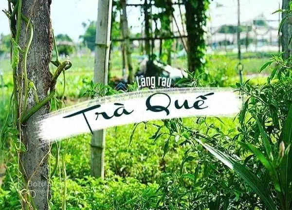 Cần bán đất làng Rau Trà Quế view Sông thuộc lô góc 2 mặt tiền