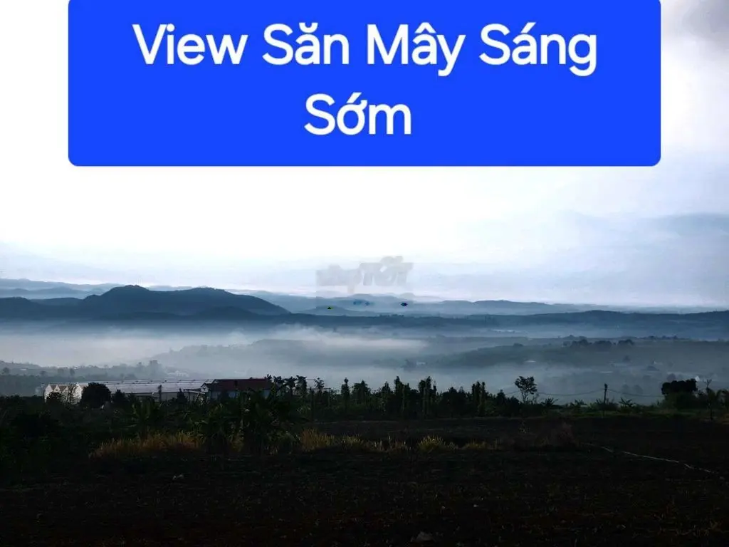 395tr Sở Hữu View Săn Mây Ven Đà Lạt Sẵn Thổ Cư