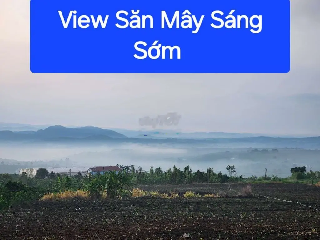 395tr Sở Hữu View Săn Mây gần Đà Lạt sẵn thổ cư