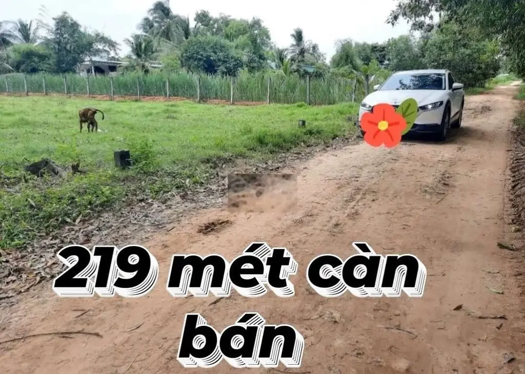 Bán lô đất chính chủ