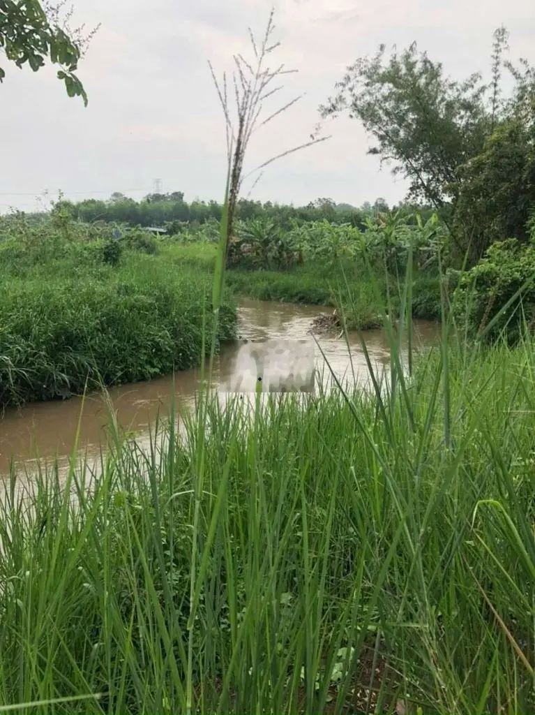 🌱 Bán gấp 1000m2 đất view suối tại Sông Thao , Trảng Bom.