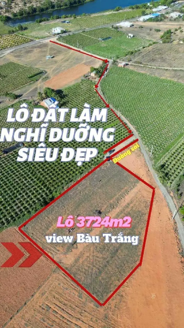 Bán lô đất Hòa Thắng - view trực diện Bàu Trắng - thế đất cao đẹp - giá thấp hơn thị trường 30%