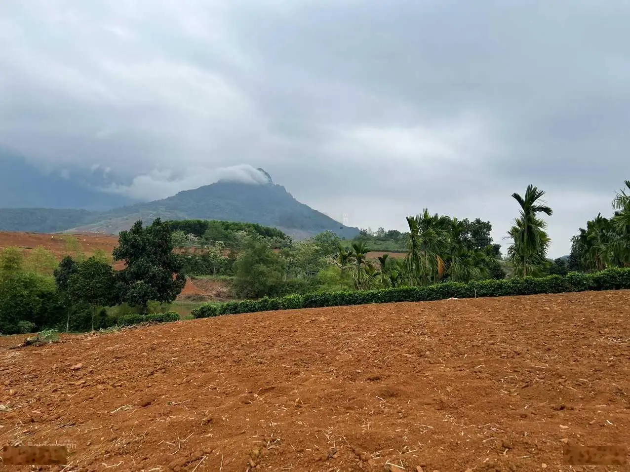 Một siêu phẩm tuyệt đẹp tại Minh Quang, Ba Vì diện tích 2200m2, view núi giá hợp lý, LH: 0971 274 ***