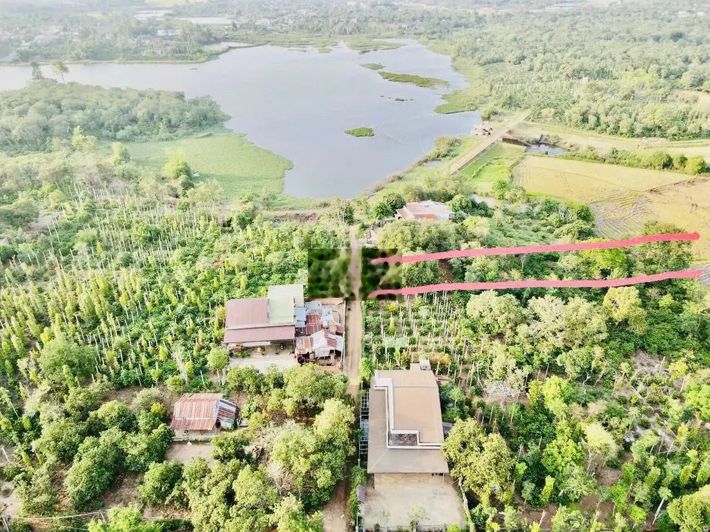 Bán Đất view Hồ và cánh đồng 859m2 có 160 Thổ Cư Tặng 800m2 Đất Ruộng.