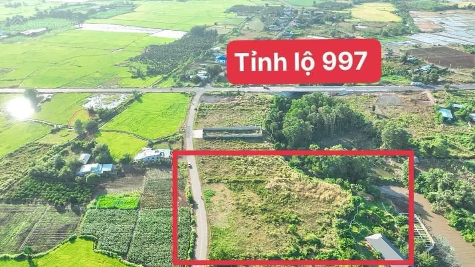 Đất làm view sào 5421m2 view hồ Lồ Ô, Long Tân, Huyện Đất Đỏ