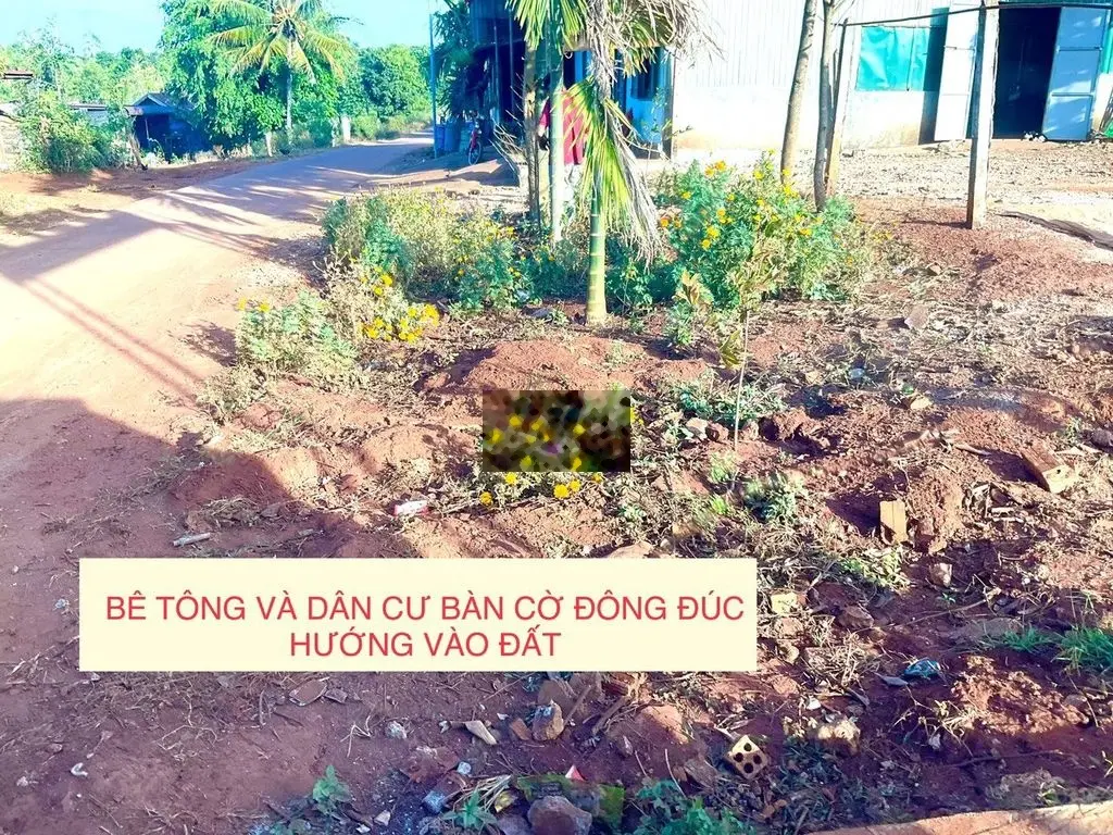 Cần Bán lô đất nông nghiệp 4000m2 cách Buôn mê 20km. Sổ sẵn. Giá 440tr