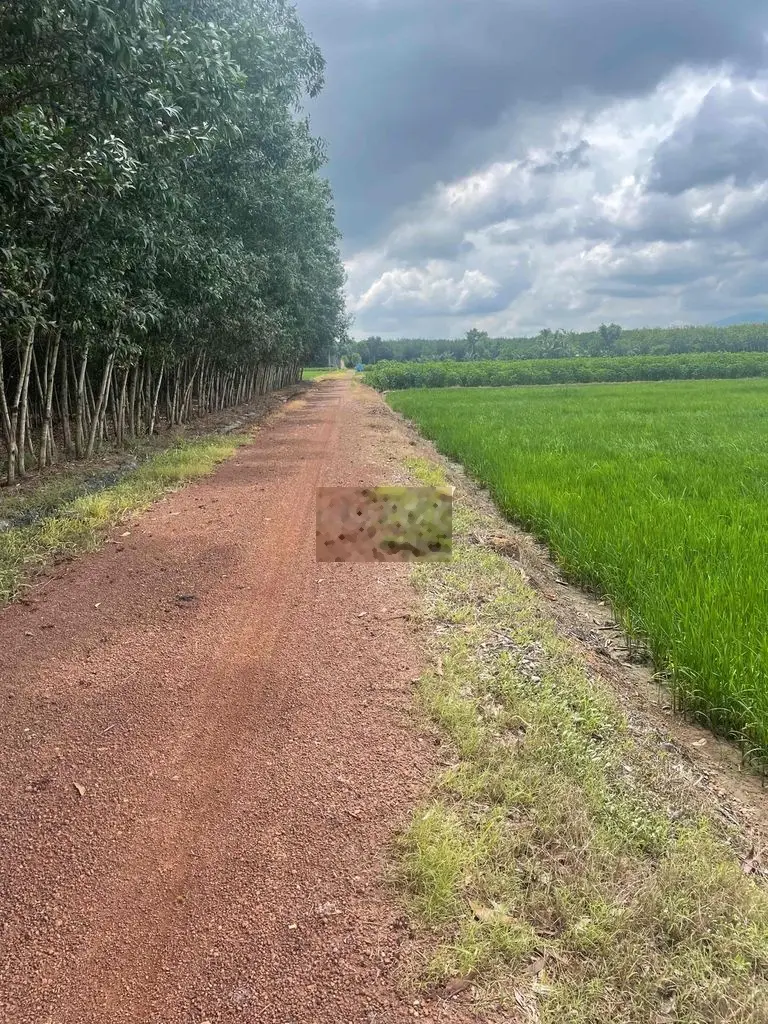 Xe hơi vào tới đất, cách tp Tây Ninh 5km, cần bán rẻ