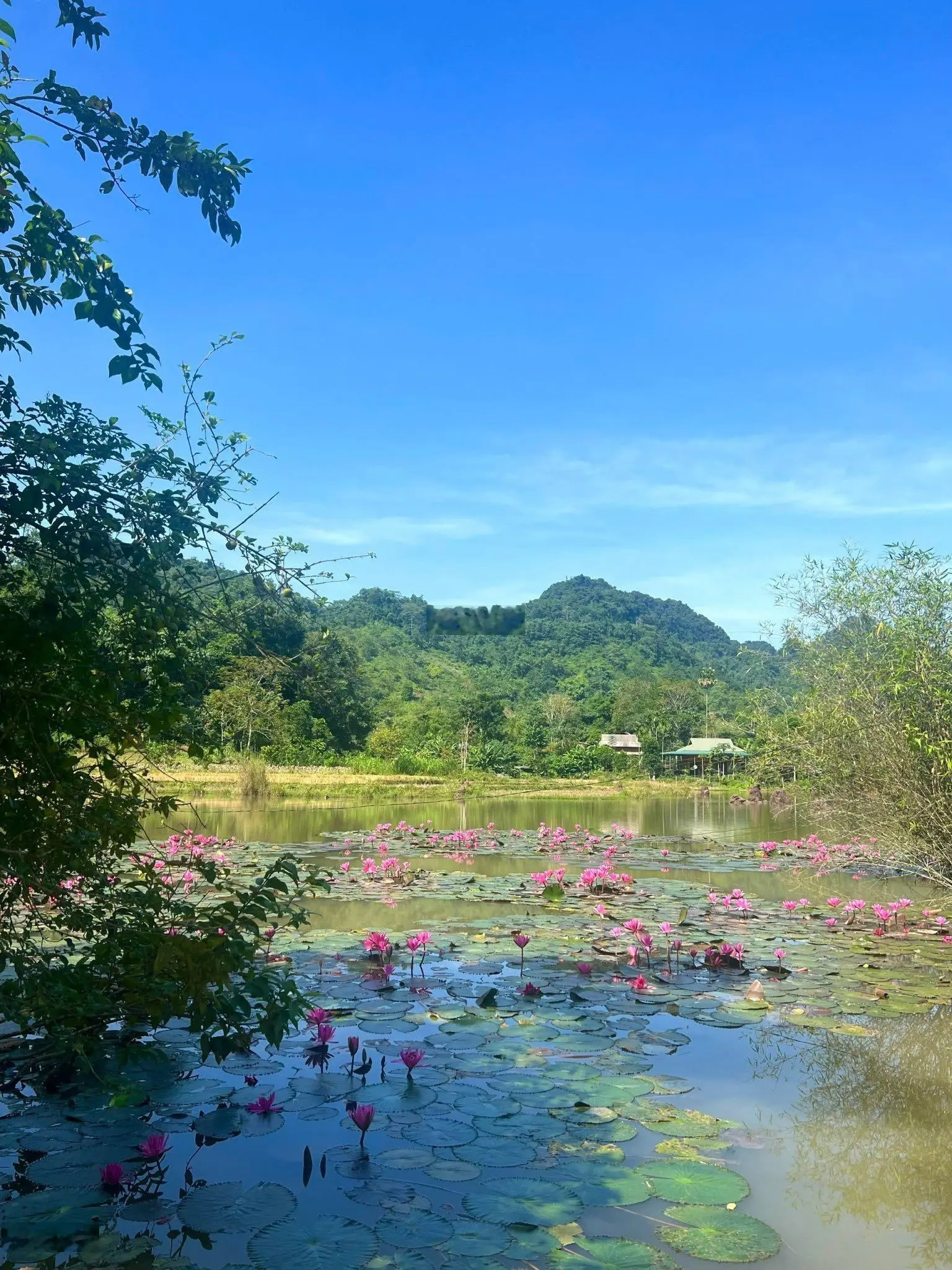 Siêu phẩm 3138 m2 view triệu đô Hồ Súng Tân Lạc 1,9 tỷ