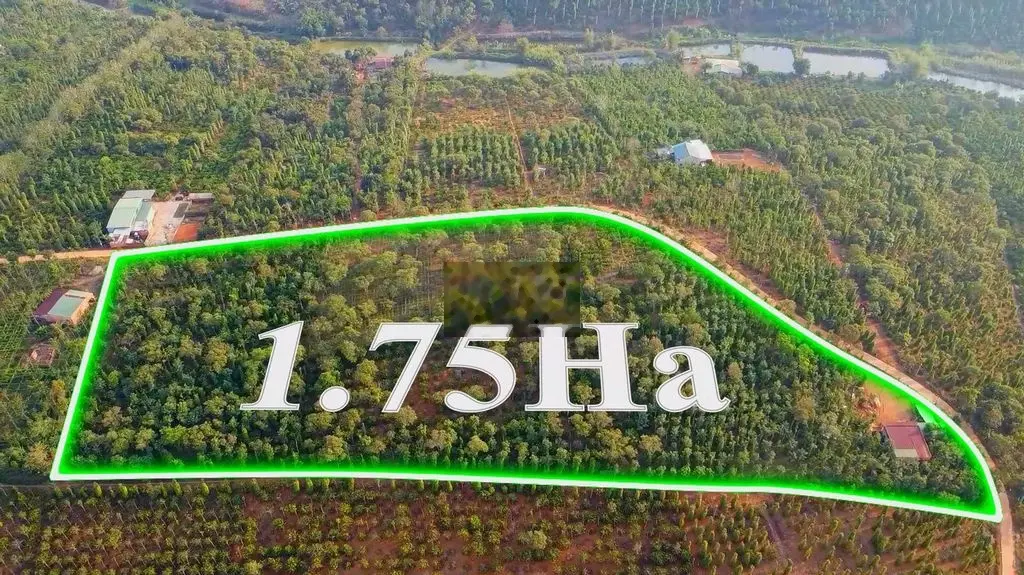 Bán 1,75ha đất ĐăkWe, ĐăkRLấp ĐăkNông 280m đường QH thổ cư, giá 2.7 tỷ