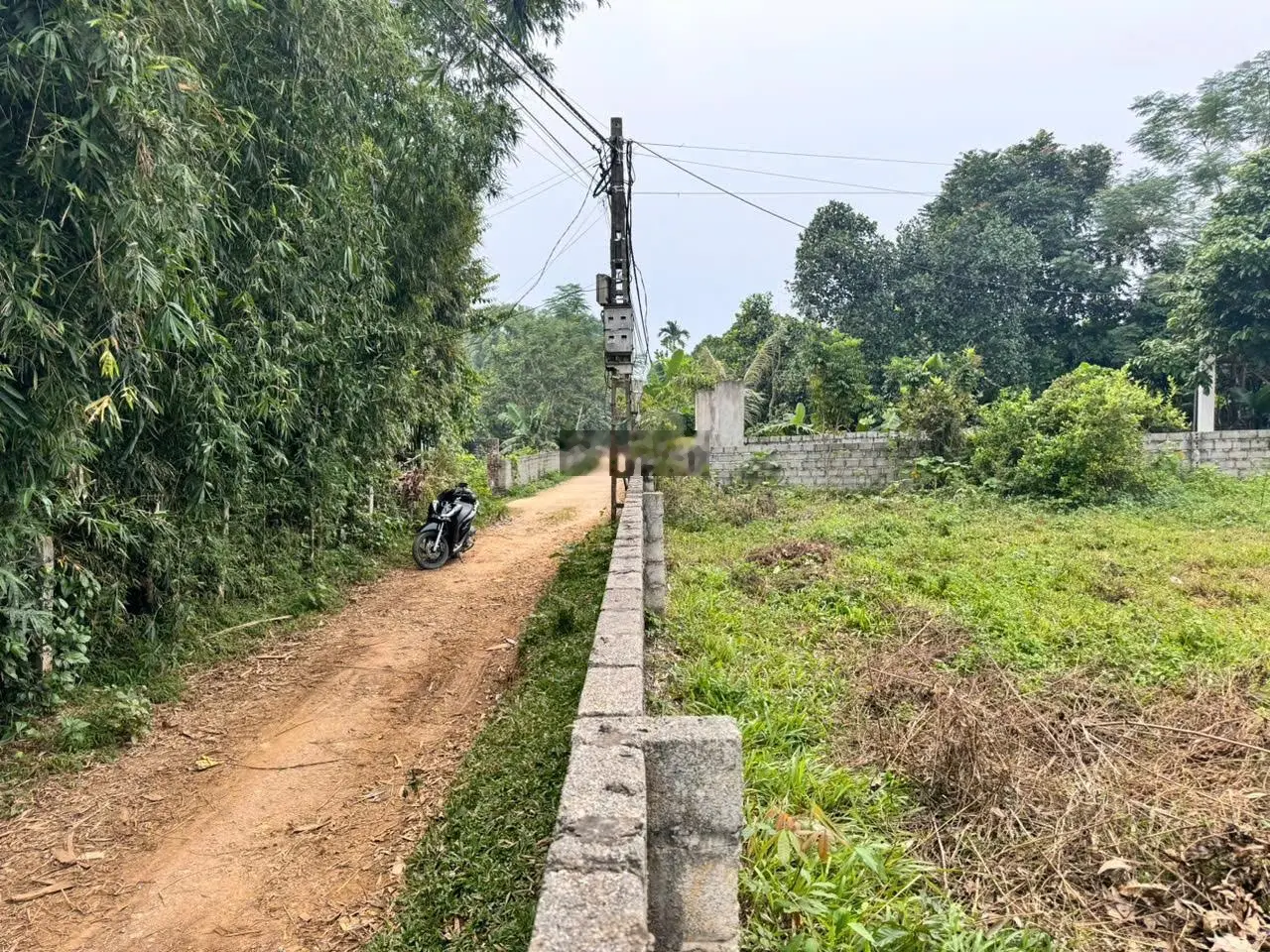 Bán đất có khoáng nóng nhỏ xinh cho gia đình tại Kim Bôi, Hoà Bình