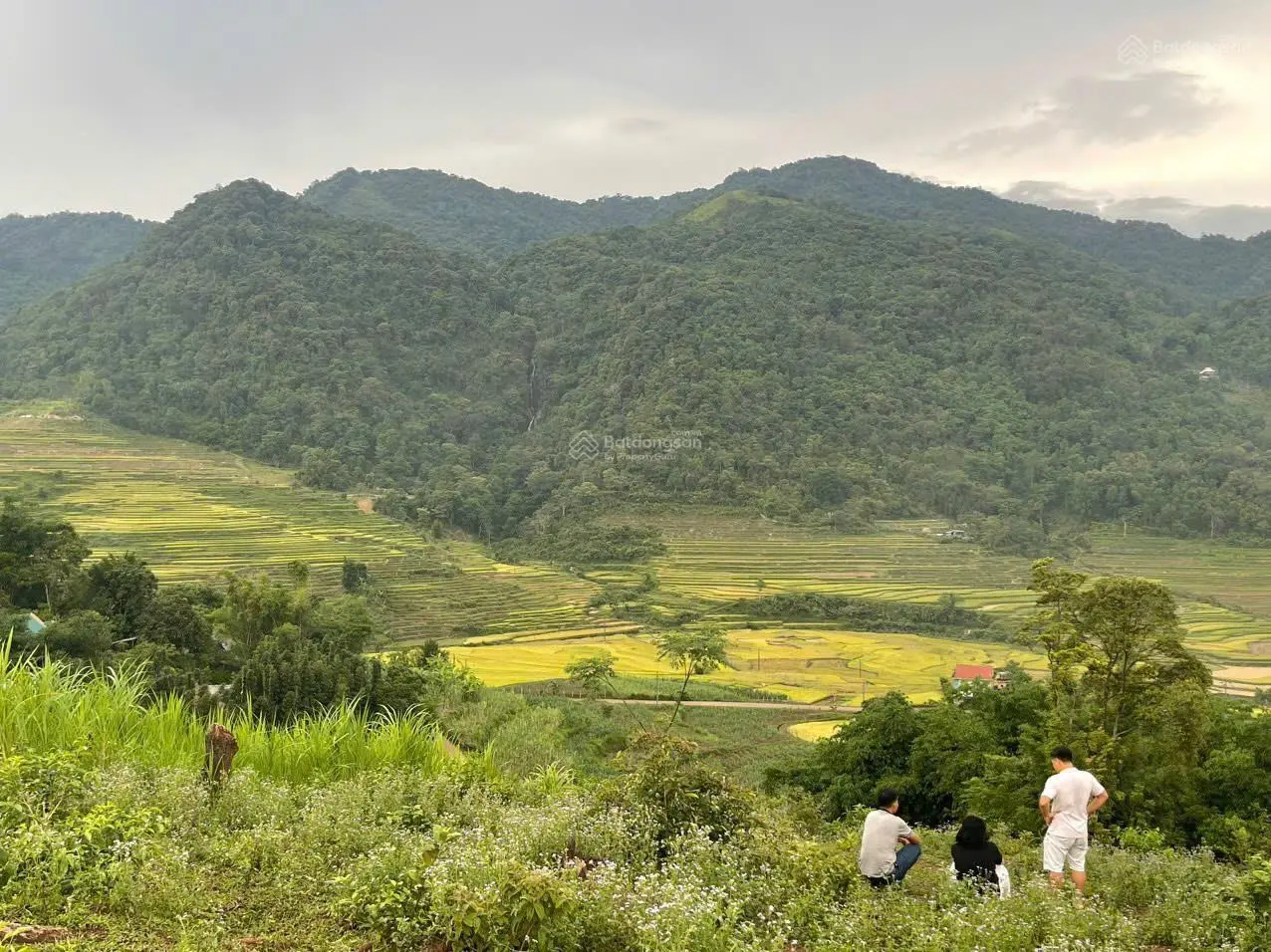 Lô đất có diện tích ~ 2000m2 sẵn 200m2 thổ cư tại Cao Phong, Hòa Bình