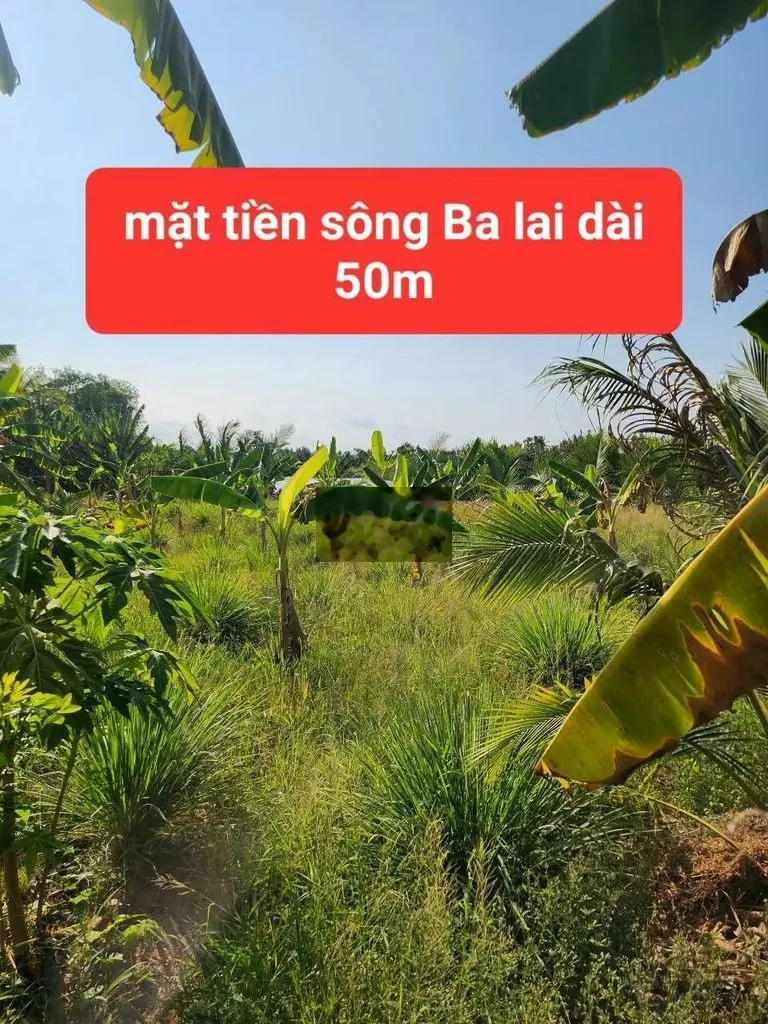 5 CÔNG ĐẤT MTIEN SÔNG BALAI 50M, ĐÃ BỒI CAO RÁO, THUỘC PHƯỚC THẠNH