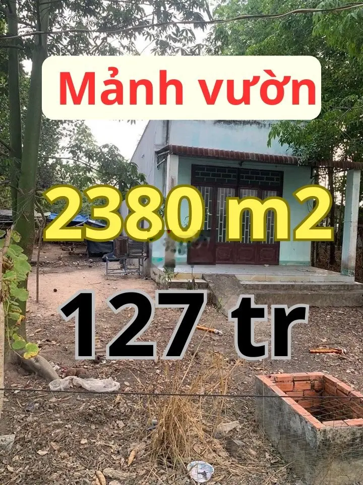 Bán mảnh đất 2380m2 có sẵn cây ăn trái, giá rẻ