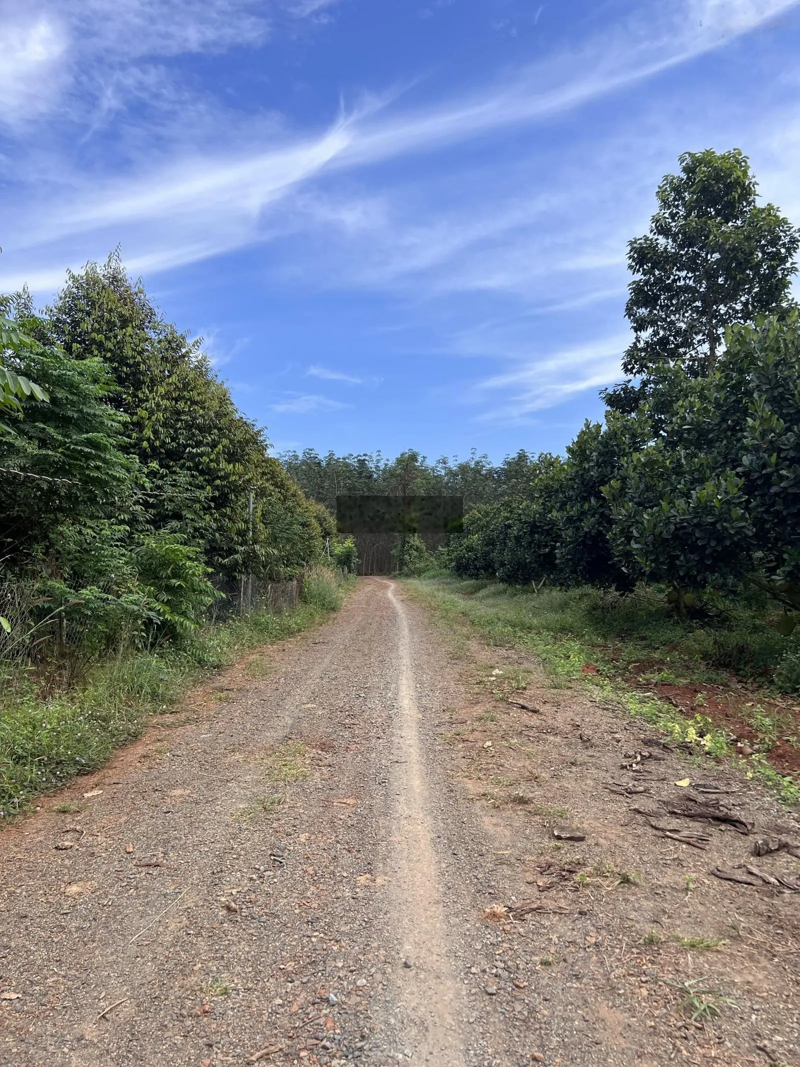 Cần bán hơn 1.8ha (18000m2) đất đỏ, Xuân Tâm, Xuân Lộc, ĐN, gần nhựa, có 186m MT. Giá cực tốt