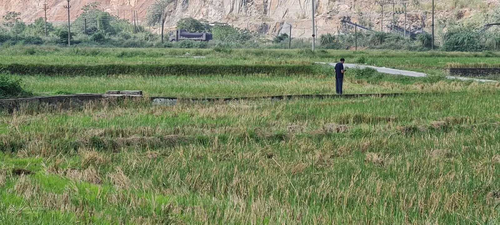 Bán 40000m thổ cư 600m đất tại xã liên Sơn huyện lương Sơn hòa bình