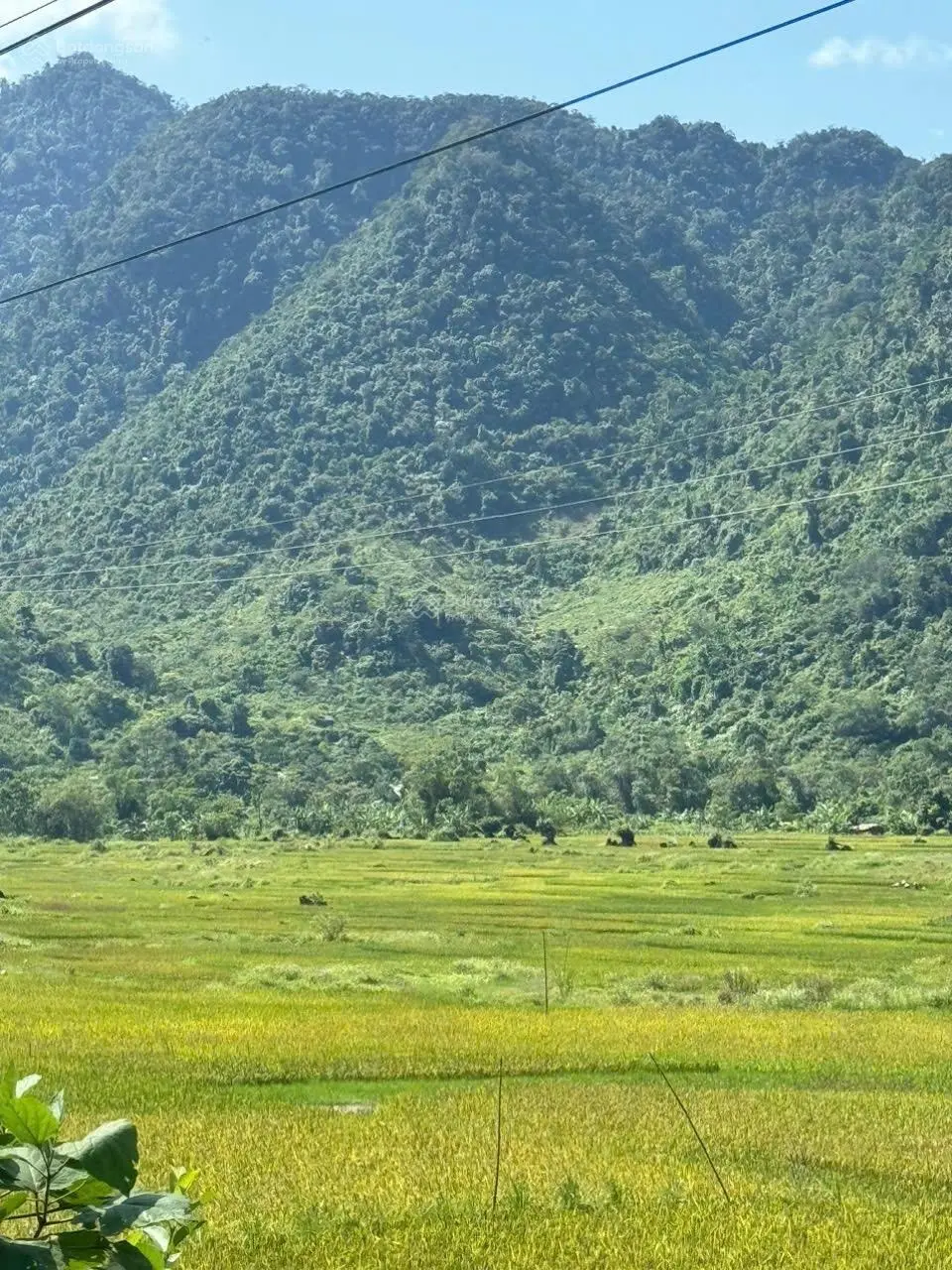 800m Phú Cường Tân Lạc chỉ 320tr sát vách khu du lịch homestay, LH 0983 465 ***