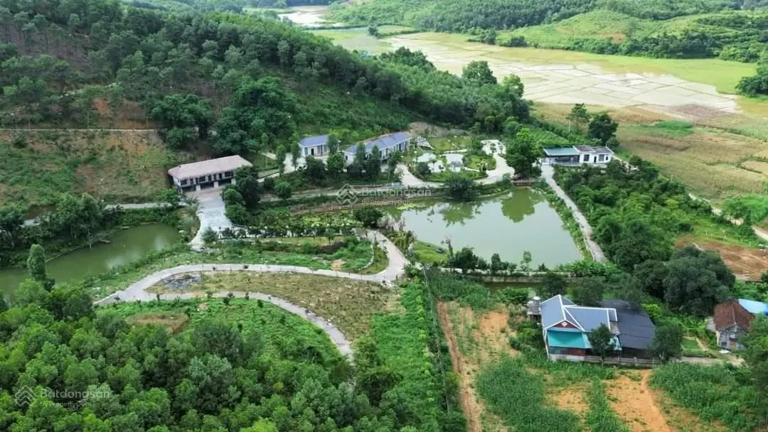 Cần chuyển nhượng 7,6 ha đất nghỉ dưỡng tại thị trấn Ba Đồi, Lạc Thủy, Hòa Bình