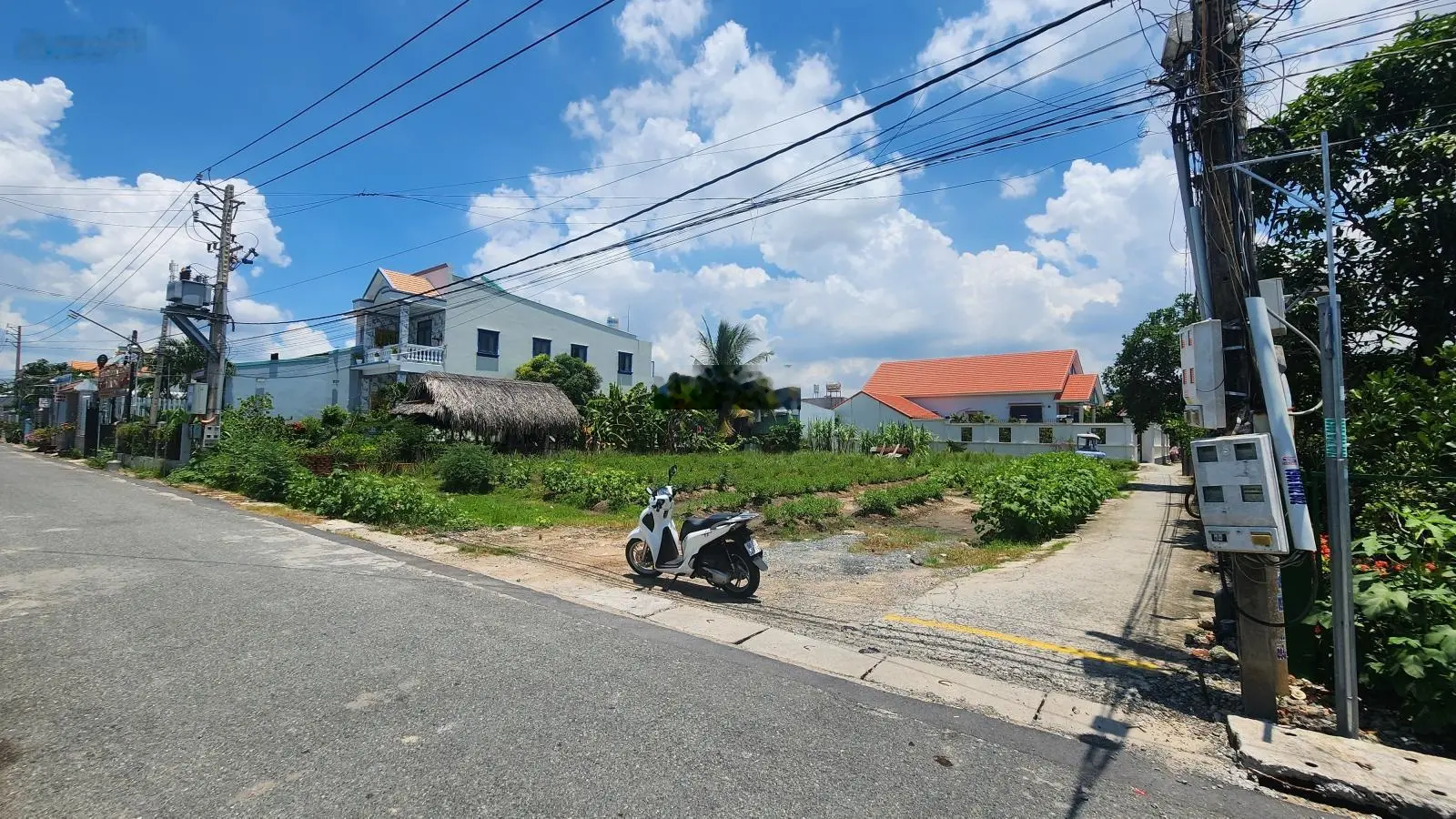 Mình đang kẹt ngân hàng nên cần bán nhanh lô đất ngay khu dân cư,2 mặt tiền đường.Đất sạch,an toàn