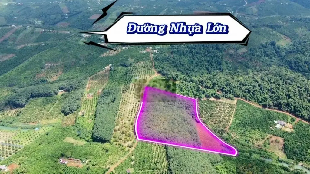 🔥 3,7Ha CAO SU MẶT ĐƯỜNG DÀI, THẾ ĐẤT ĐẸP 🔥