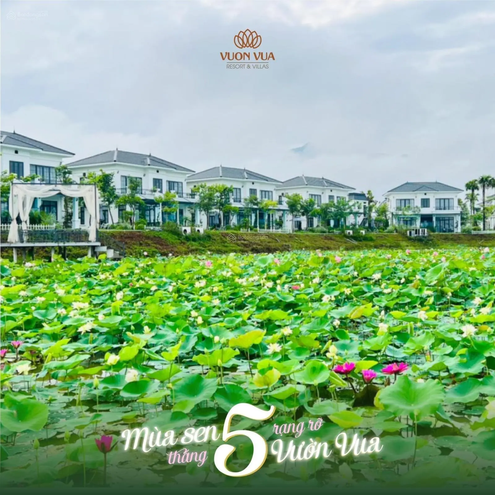 Duy nhất 6căn biệt thự đảo khoáng nóng Onsen Villas vườn vua Resort Imperial Lotus giá chỉ từ 6.3tỷ