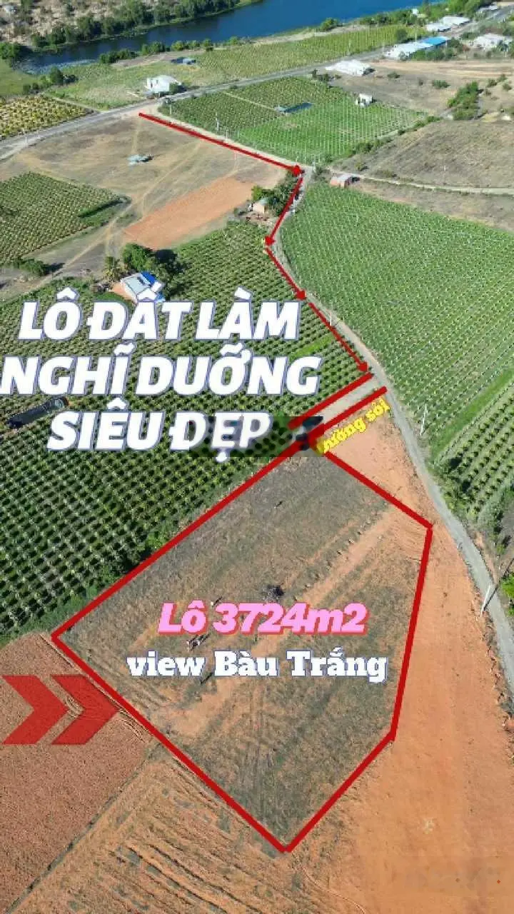 Lô đất Hòa Thắng - chỉ 1,85 tỷ. Gần chợ, trường hợp view Bàu Trắng - thích hợp xây cf chill