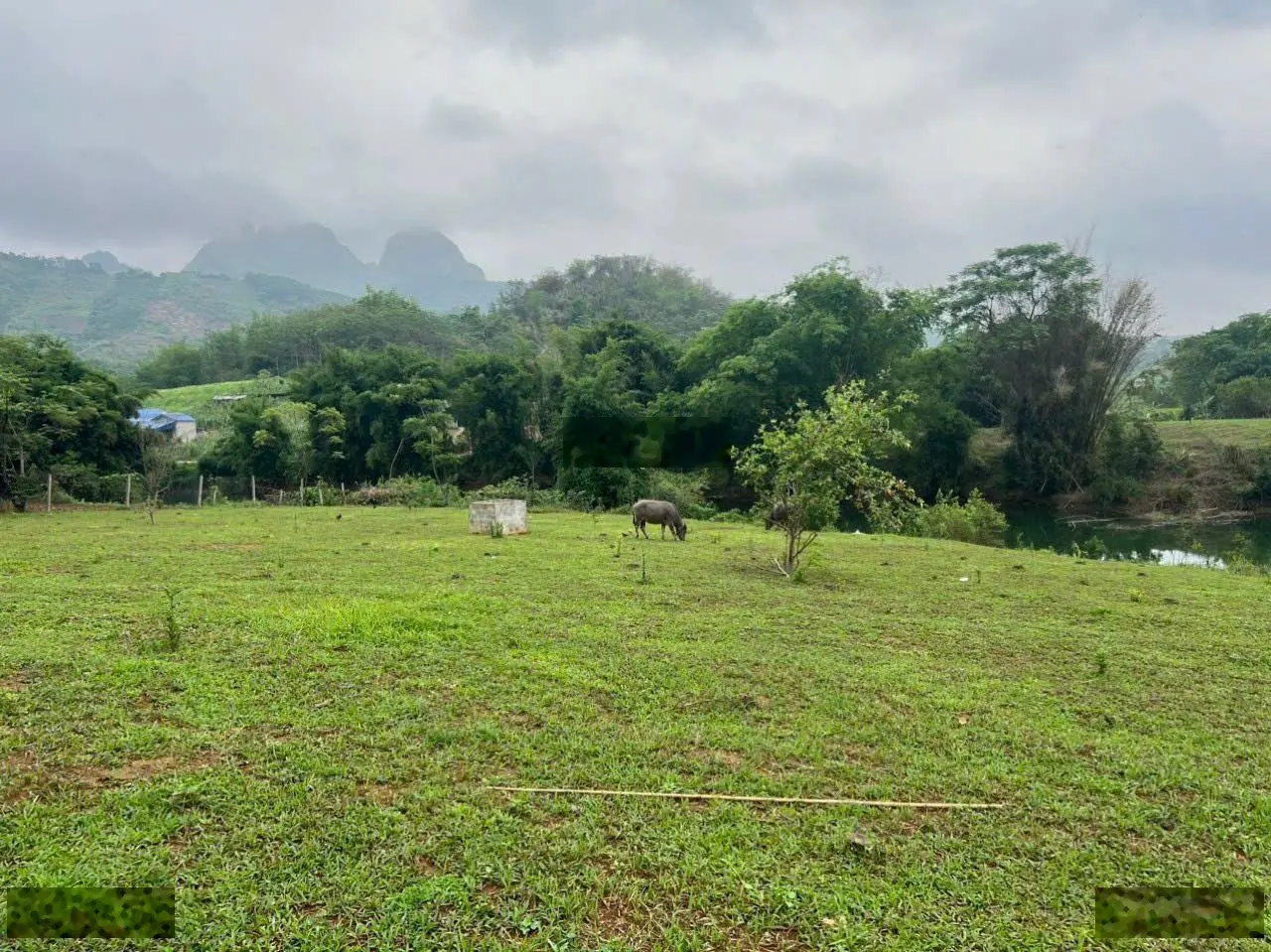 Cần bán 2650m2 (1400m2 thổ cư) tại Cao Phong, Kim Bôi, Hòa Bình