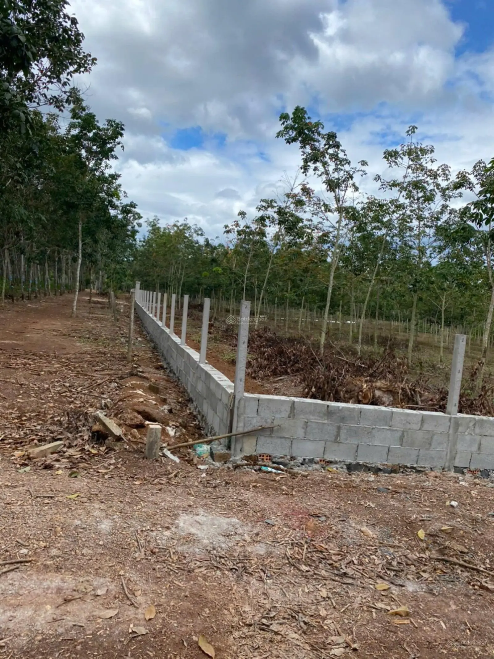 Cần bán 1.8ha đất 2 mặt tiền đường ô tô giá ngộp chỉ 390 triệu/ sào - LH: 0909 124 ***