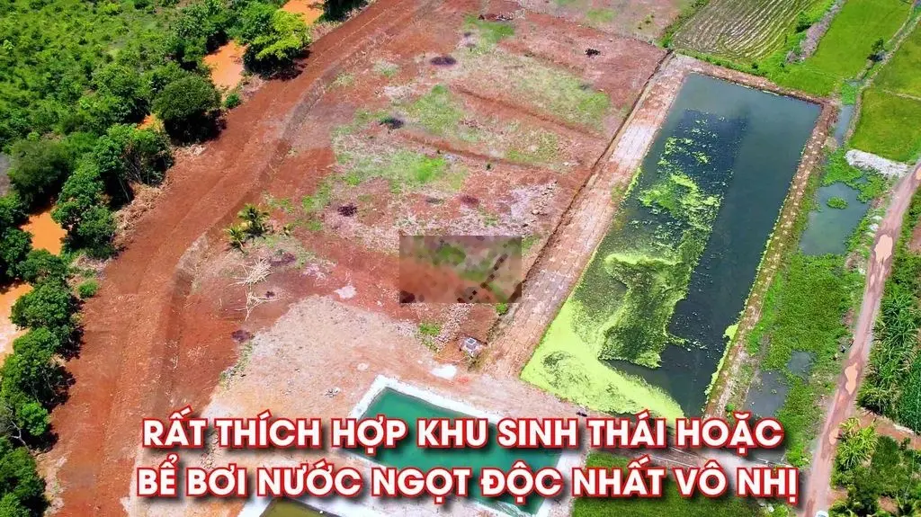 chính chủ kh