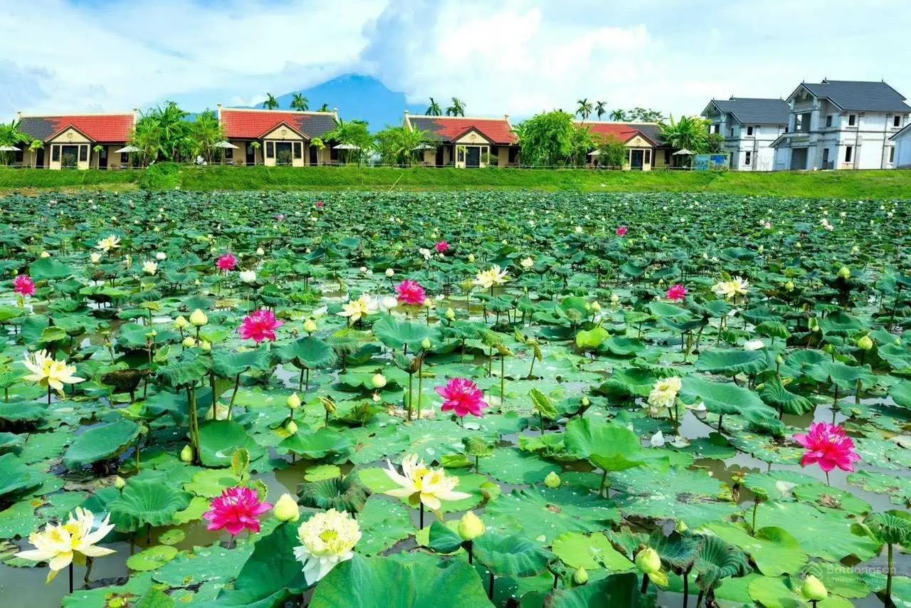 Quỹ căn Biệt thự mặt hồ Imperial Lotus Vườn Vua Resort chỉ từ 1,9tỷ ký HĐMB C.Khấu16% miễn lãi 36th