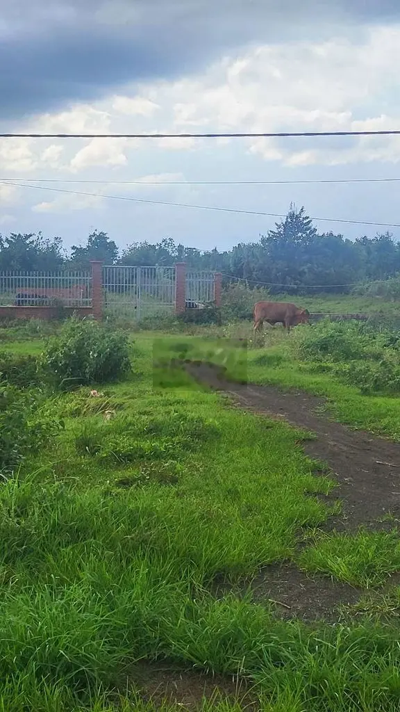 Bán đất nông nghiệp trong khu xóm mới thôn 8 xã Hòa Khánh.